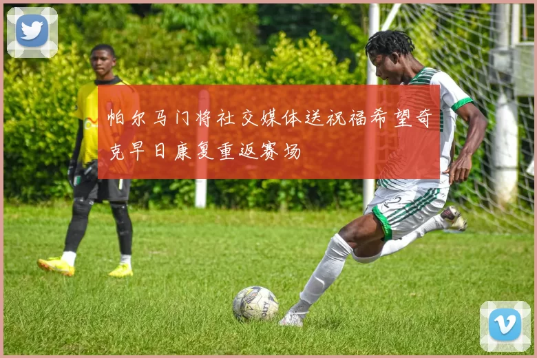 帕尔马门将社交媒体送祝福希望奇克早日康复重返赛场