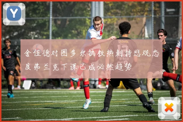 舍伍德对图多尔执教热刺持悲观态度弗兰克下课已成必然趋势